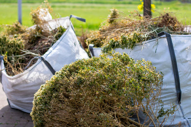 Best Household Junk Removal  in Mayodan, NC